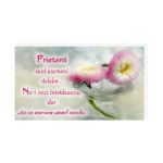 Prietenii sunt ca stelele - Plachetă birou